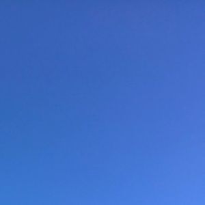 Meet your Posher, Jacque